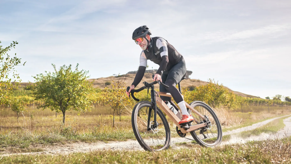 My Esel E-Gravel Allround